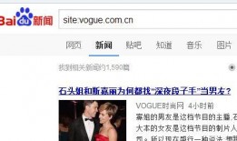 河南女士爆料新闻报道视频,揭露惊人真相，视频曝光引发社会关注